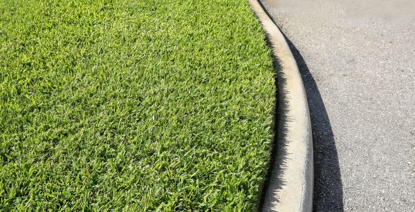 Driveway Curb Repair in Tyler
